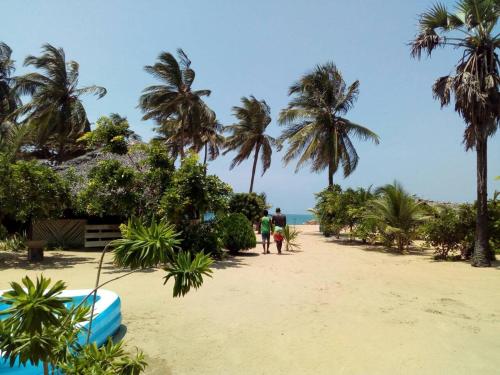 two people walking on a beach with palm trees at Dolphin Village in Kalpitiya