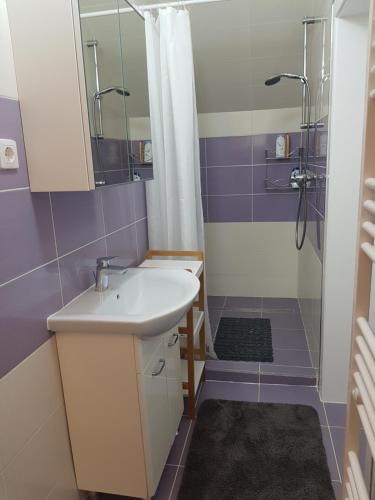 Koupelna v ubytování Luxury Apartment
