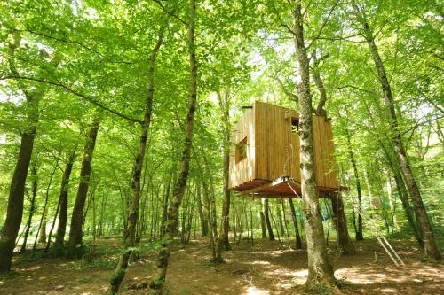 Landskap semula jadi dekat dengan chalet