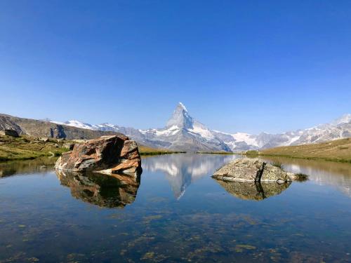 a mountain reflecting in a lake with a rock in the water at Apartment Olympia Matterhorn in Zermatt