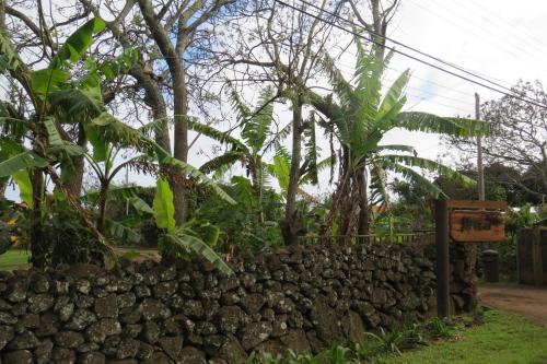 a stone fence with trees in the background at Cabañas Peretei in Hanga Roa