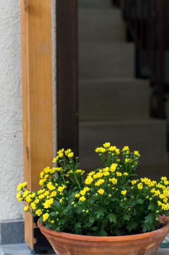 a pot of yellow flowers in front of a door at Sofia Family House - Free Parking in Sofia