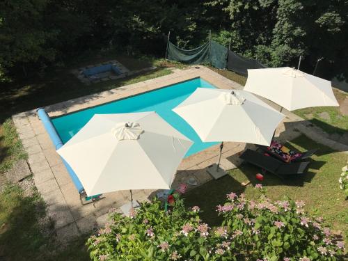 een uitzicht over het zwembad en 2 parasols bij Casa Parentela in Ligornetto