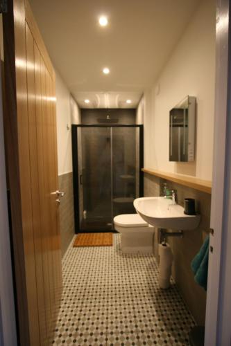 een badkamer met een douche, een toilet en een wastafel bij Dryburgh Apartment No3 in Inverness