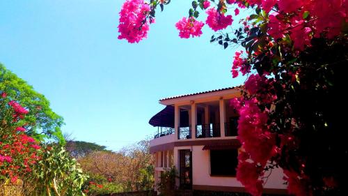 a building with pink flowers in front of it at Casa La Guaria in Sámara