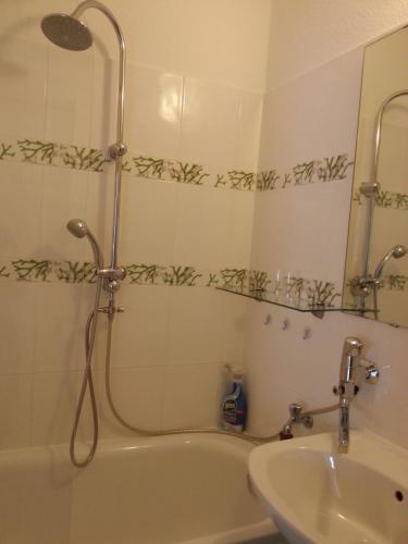 La salle de bains est pourvue d'une douche, d'une baignoire et d'un lavabo. dans l'établissement Apartment Hagen Nähe TU Altstadt, à Dresde