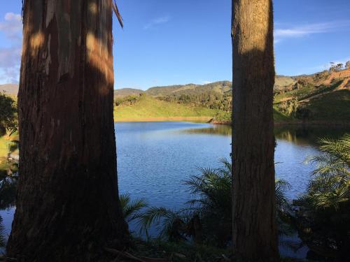 a view of a lake between two trees at Ecolodge Bahia del Peñón in Guatapé