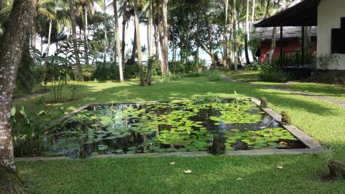สวนหย่อมนอก Kuda Laut Resort