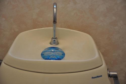 a urinal with a blue object inside of it at Tuktuk House in Kawagoe