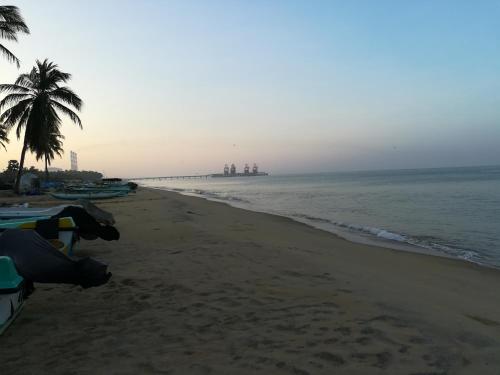 a beach with a palm tree and the ocean at Dolphin Village in Kalpitiya