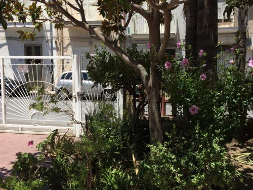 Gallery image of Le Zagare apartments in SantʼAlessio Siculo
