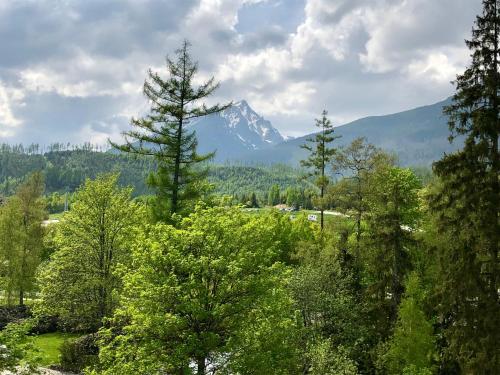 a mountain in the distance with trees in the foreground at Hotel Slovan in Tatranská Lomnica