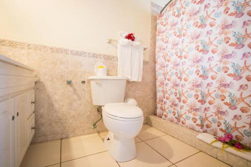 a bathroom with a toilet and a shower at Connie's Comfort Suites in Saint Johnʼs