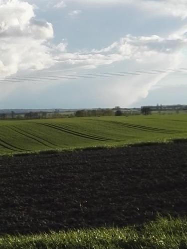 a field of green grass with a cloudy sky at Ferienwohnung Prenzlau in Prenzlau