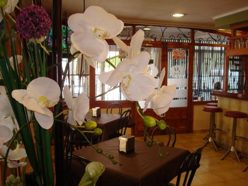Restaurace v ubytování Hotel Fin De Semana