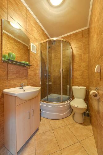 a bathroom with a shower and a toilet and a sink at domki z kominkiem 667-122-962 in Polańczyk