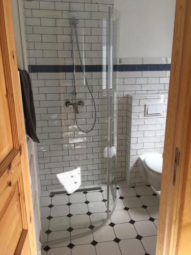 a bathroom with a shower and a toilet at Ferienwohnung Kröpelin in Kröpelin