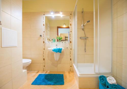コウォブジェクにあるSenlux Apartmentsのバスルーム(シャワー、トイレ、シンク付)