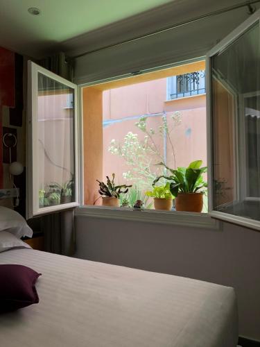 Hotel Villa Rose photo 93