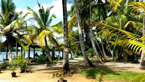 a group of palm trees on a sandy beach at Lake Lane Guest Rest in Koggala