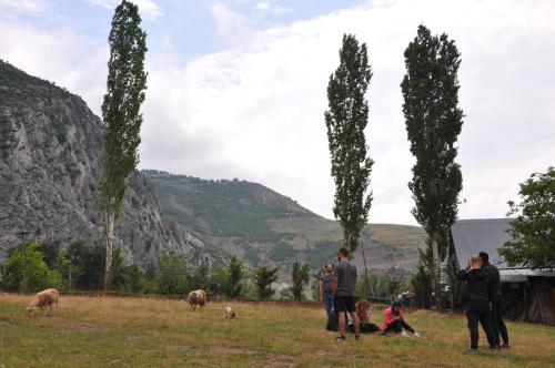 a group of people standing in a field with animals at Bujtina Gjana in Kukës