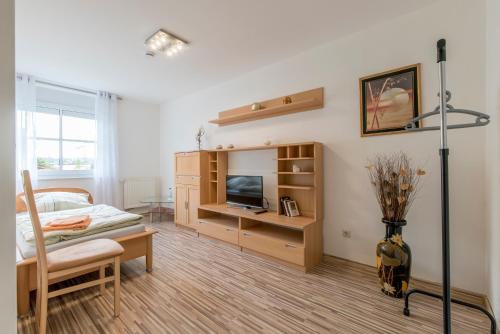 ein Wohnzimmer mit einem Bett, einem TV und einem Sofa in der Unterkunft Apartments or Rooms near Exhibition Center in Hannover
