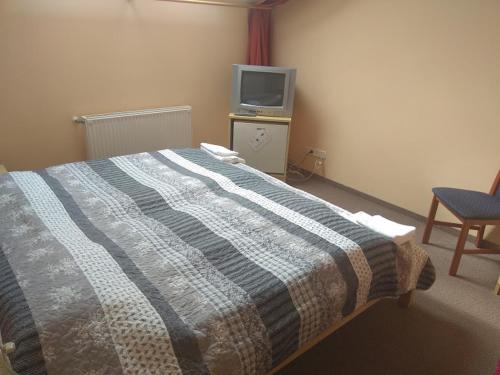 ein Schlafzimmer mit einem Bett und einem TV auf einem Tisch in der Unterkunft Hubertus Panzió in Csongrád