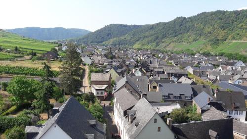 a village in the mountains with houses and trees at Ferienwohnungen Am Bruttiger Moselsteig in Bruttig-Fankel