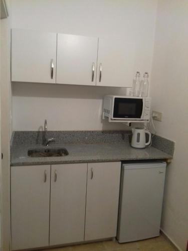 una cocina con fregadero y microondas en una encimera en Oficina 38, en Punta del Este