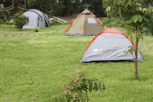 three tents sitting in the grass in a field at Misty Mountain Lodge in Naro Moru