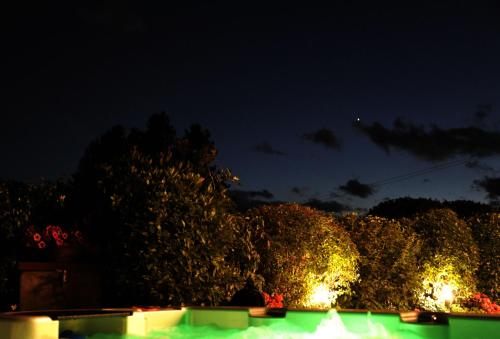 a group of trees with lights at night at Villa Le Facezie B&B in Terranuova Bracciolini