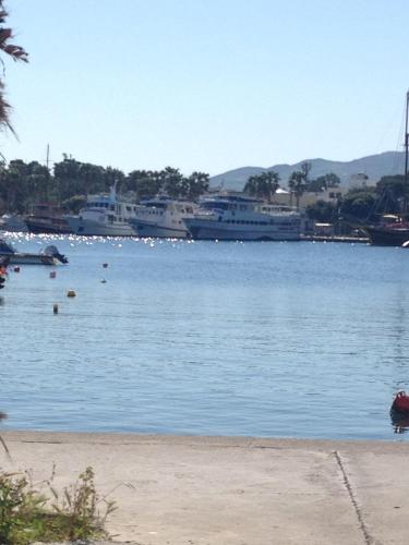a large body of water with two boats in it at Olympia Hotel in Kos Town