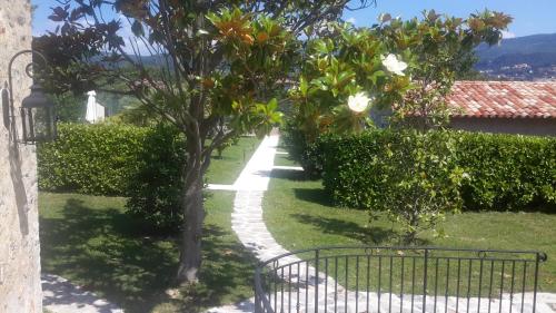 a garden with a tree and a fence at Aux charmes de grasse in Grasse