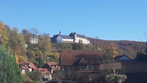 a group of buildings on a hill with a castle at Ferienapartmenthaus am Rittertor in Stolberg i. Harz