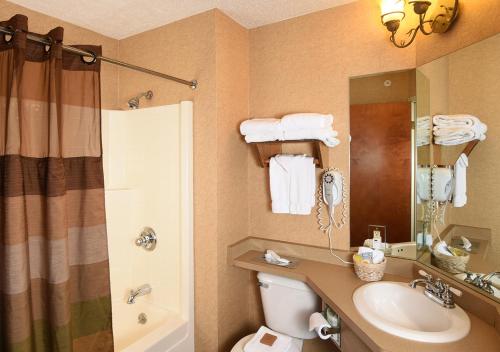 Ένα μπάνιο στο Cedar Creek Hotel Wausau - Rothschild