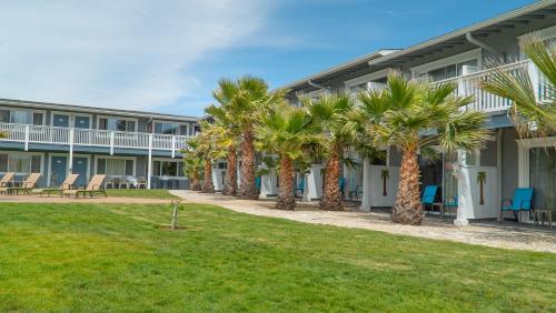 a row of palm trees in front of a building at San Simeon Lodge in San Simeon