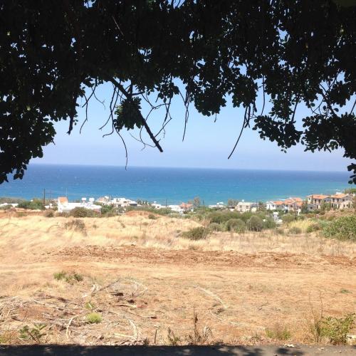 a view of the ocean from a tree at Pomos Idol Exceptional Beach Villa in Pomos