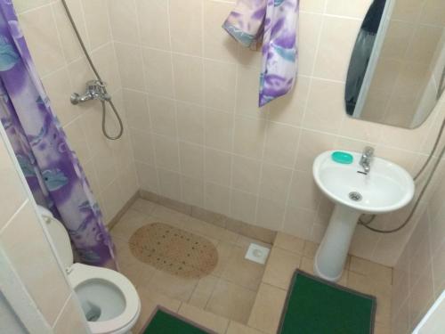 La salle de bains est pourvue de toilettes et d'un lavabo. dans l'établissement Podsolnukhi Guest House, à Cholpon-Ata
