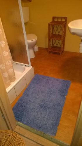 La salle de bains est pourvue de toilettes et d'un tapis bleu. dans l'établissement Agroturustyka Grazyna Ksel Korbielow ul slepa dolina 2, à Korbielów