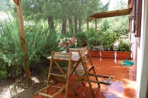 Zahrada ubytování Agriturismo L'Aglientu B&B