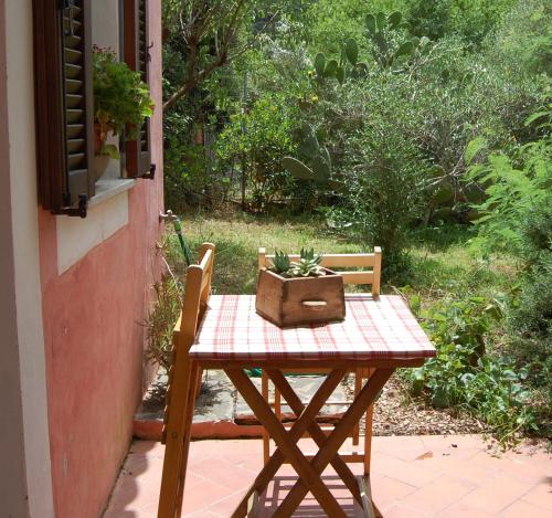 Zahrada ubytování Agriturismo L'Aglientu B&B