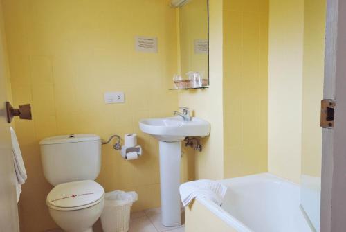 a bathroom with a toilet and a sink at Hotel Azabache Susierra in Cangas de Onís