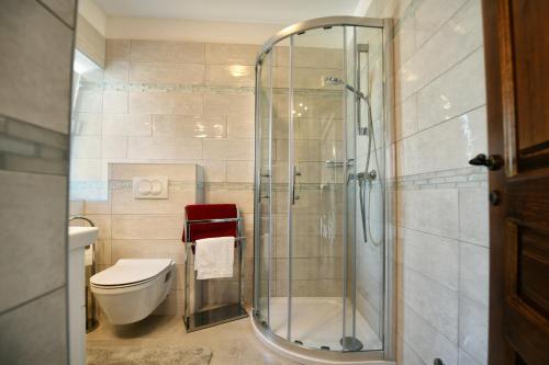 a bathroom with a toilet and a glass shower at Villa Emilia in Vižinada