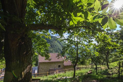 Příroda nedaleko apartmánu