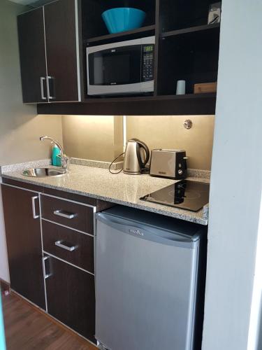 eine kleine Küche mit einer Spüle und einer Mikrowelle in der Unterkunft Bariloche Studio Center Leg.1068 in San Carlos de Bariloche