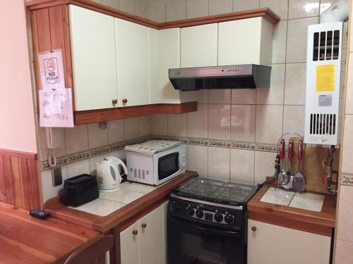 Departamento Pucon tesisinde mutfak veya mini mutfak