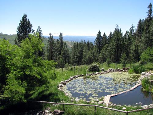 Whitebird Summit Lodge – Photos 5