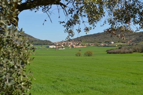 a field of green grass with mountains in the background at Cal Ribero in Villanova de la Sal