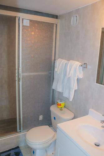 a bathroom with a shower and a toilet and a sink at Turtle Beach Towers in Ocho Rios