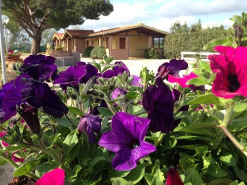 Tortuga Casa Vacanze – Photos 2